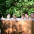Купель Polar Spa COMFORT 220 HOT (термососна светлая)