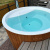Купель Polar Spa ELITE 220 (термобереза светлая)