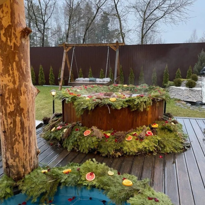 Купель Polar Spa COMFORT COLD 195 (термобереза темная)